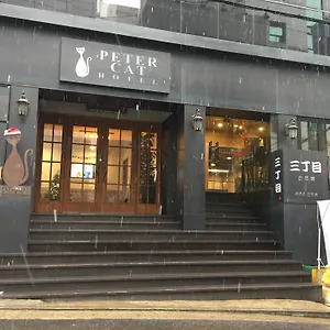 *** ホテル ピーターキャット シンチョン（ホンデ） 韓国